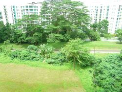 The Raintree (D21), Condominium #425938201